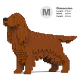 Irish Setter 01-M01