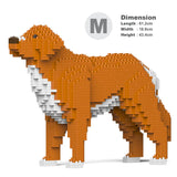 Nova Scotia Duck Tolling Retriever 01-M01 