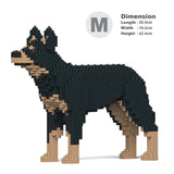 Australischer Kelpie 01-M01 