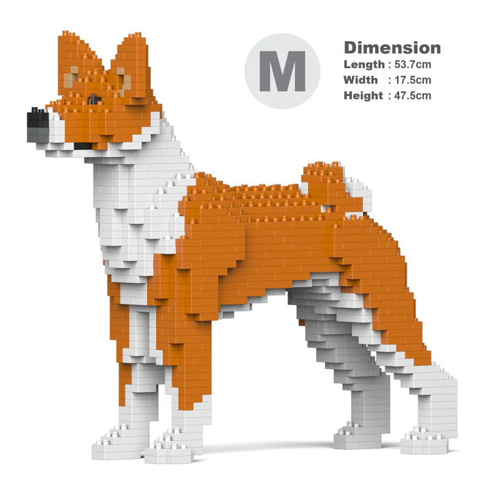 Basenji 01-M01 