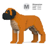 Englischer Mastiff 01-M02 