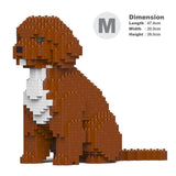 Cockapoo 01-M02