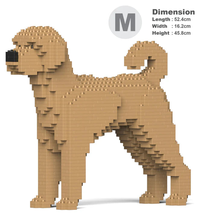 Labradoodle 01-M02