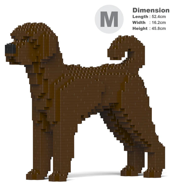 Labradoodle 01-M03 