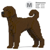 Labradoodle 01-M03