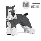 Standard Schnauzer 02-M01