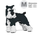 Standardschnauzer 02-M02 