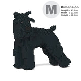 Standardschnauzer 02-M03 