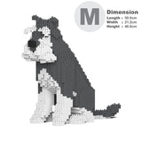 Standardschnauzer 04-M01 