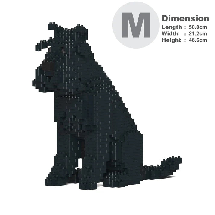 Standardschnauzer 04-M03 