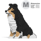 Shetland Sheepdog 03-M02