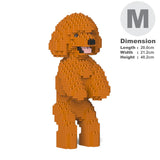 Toy Poodle 04-M04