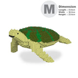 Sea Turtle 01-M02