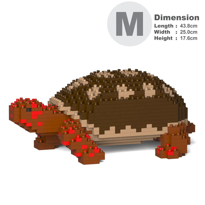 Red Footed Tortoise 01