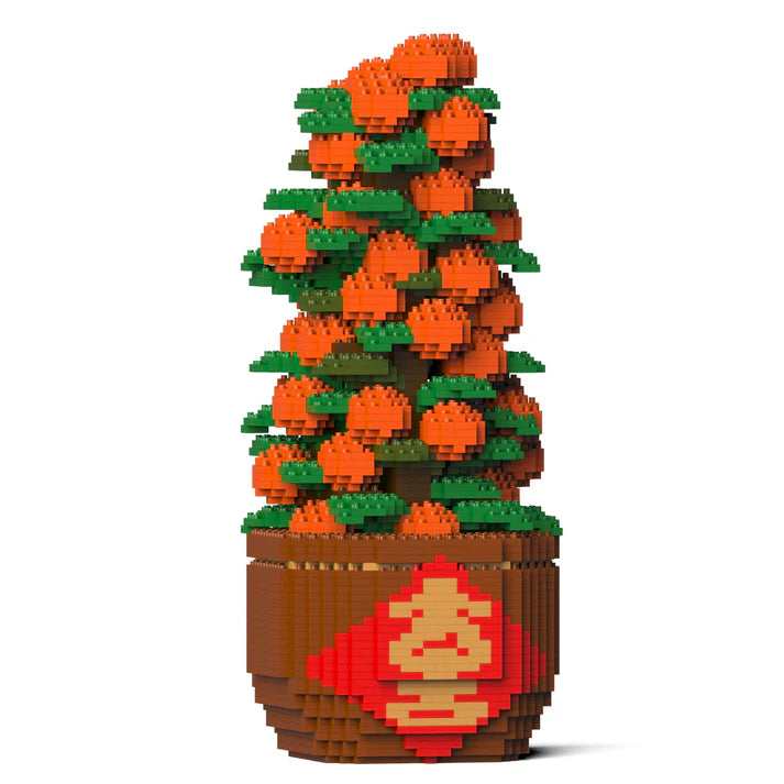 Árbol de mandarina 01 