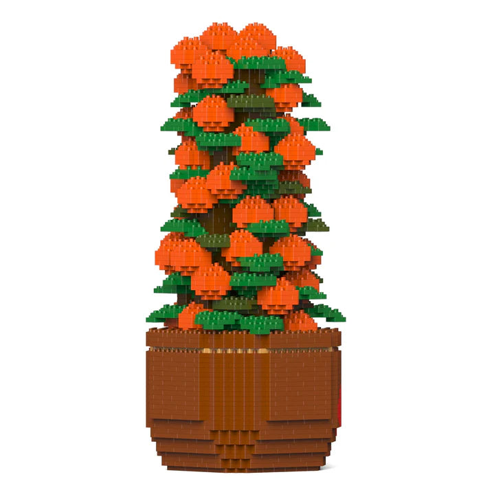 Árbol de mandarina 01 