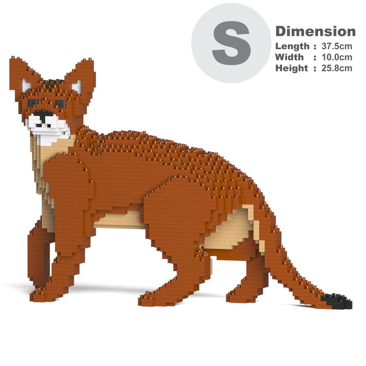 Abyssinian Cat 01S