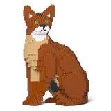 Abyssinian Cat 02S