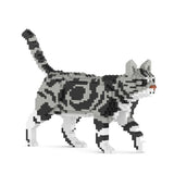 American Shorthair Cat 02S-M01B