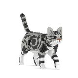 American Shorthair Cat 02S-M01B