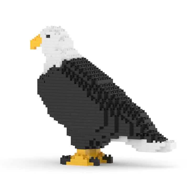 Weißkopfseeadler 01 