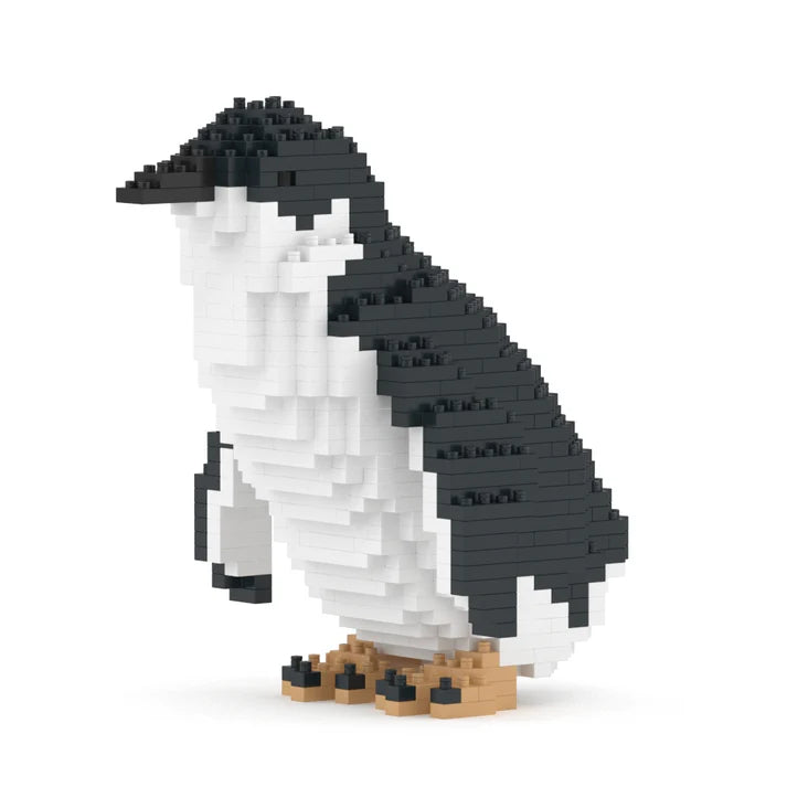 Pequeño pingüino 01 