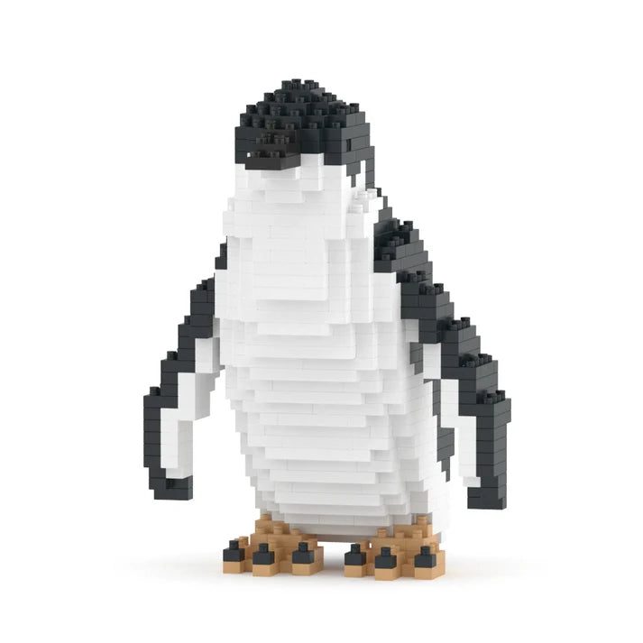 Pequeño pingüino 01 