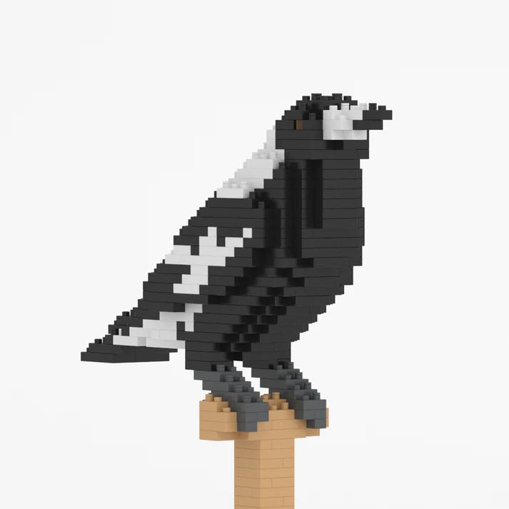 Australian Magpie 01S