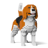 Beagle 03 