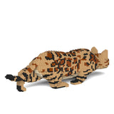 Bengal Cat 4-in-1 Pack 01S-M01