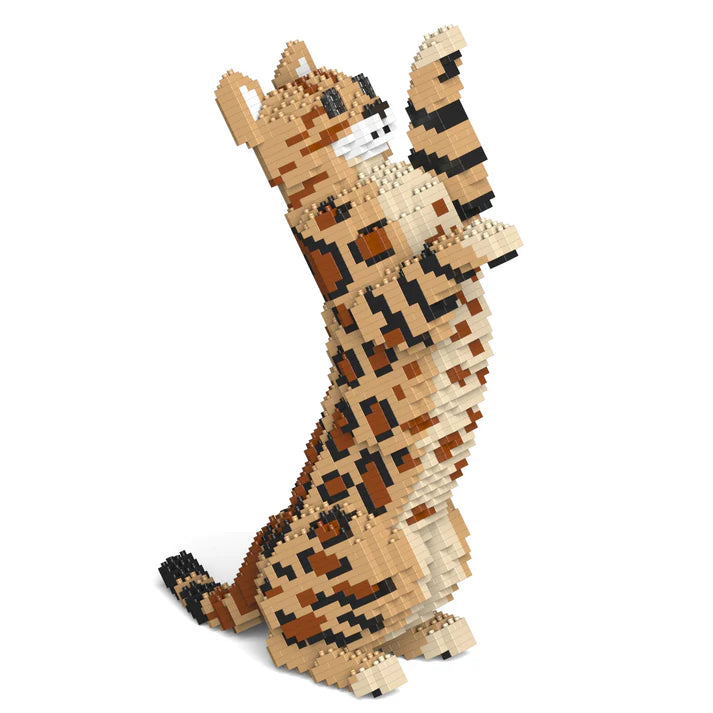 Bengalkatze 4-in-1 Paket 01S-M01 