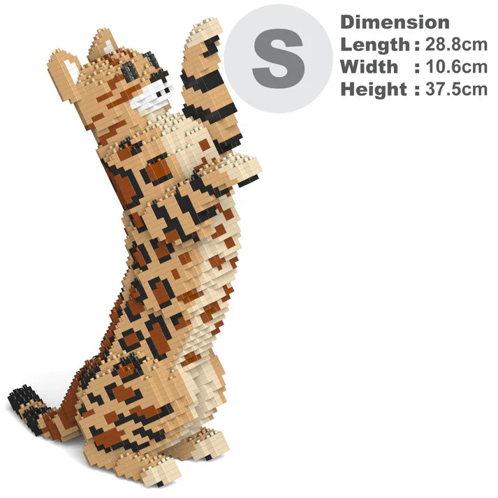 Bengalkatze 4-in-1 Paket 01S-M01 