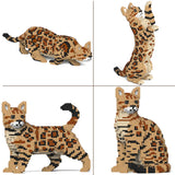 Bengalkatze 4-in-1 Paket 01S-M01 