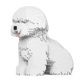 Bichon Frisé 03 