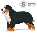 Berner Sennenhund 02 