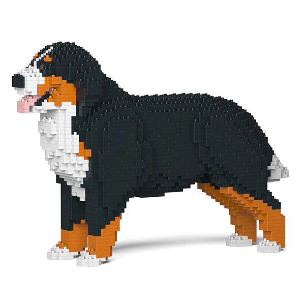 Berner Sennenhund 02 