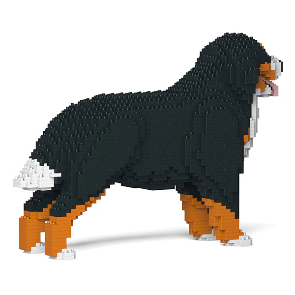 Berner Sennenhund 02 