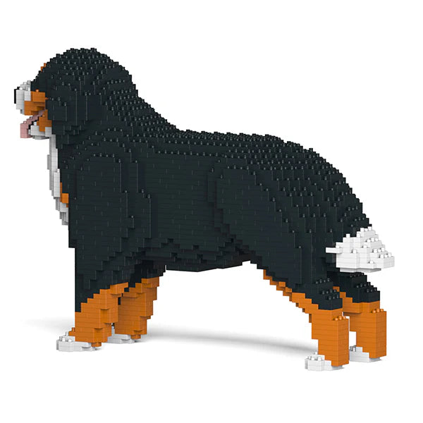 Berner Sennenhund 02 