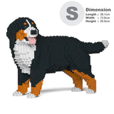 Berner Sennenhund 03 