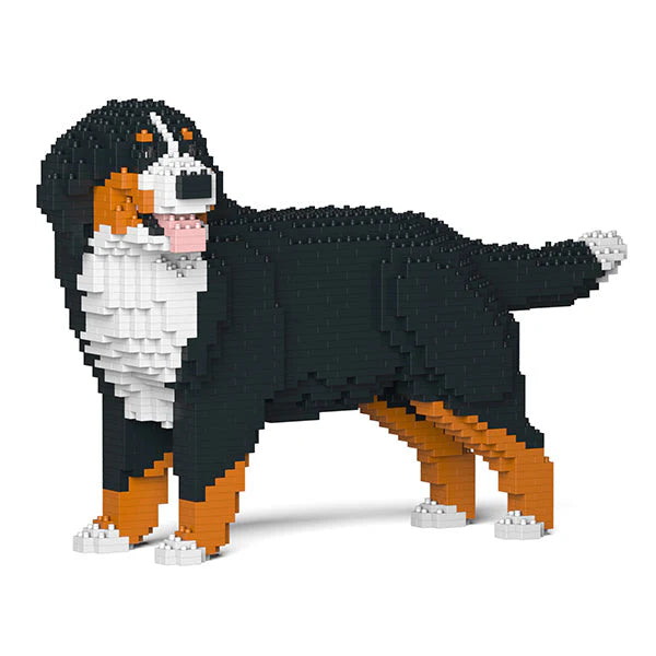 Berner Sennenhund 03 