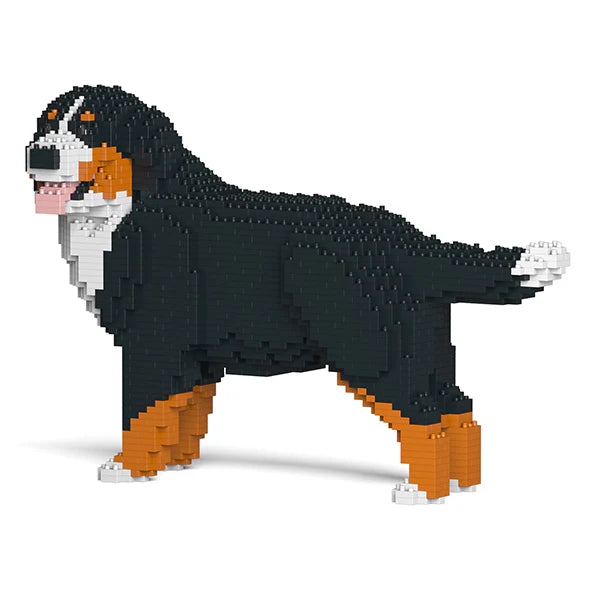 Berner Sennenhund 03 