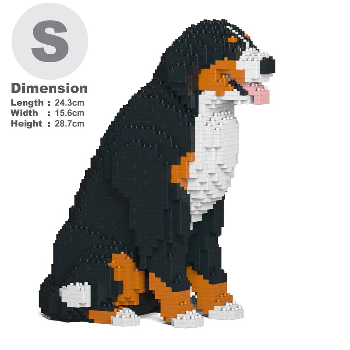 Berner Sennenhund 04 