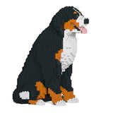 Berner Sennenhund 04 