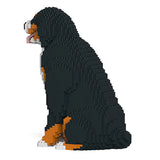 Berner Sennenhund 04 