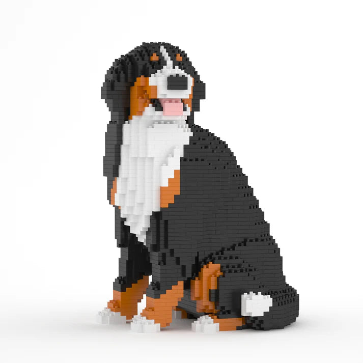 Berner Sennenhund 05B 