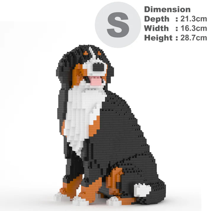 Bernese Mountain Dog 05B