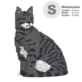 Dark Grey Tabby Cat 02S-M02