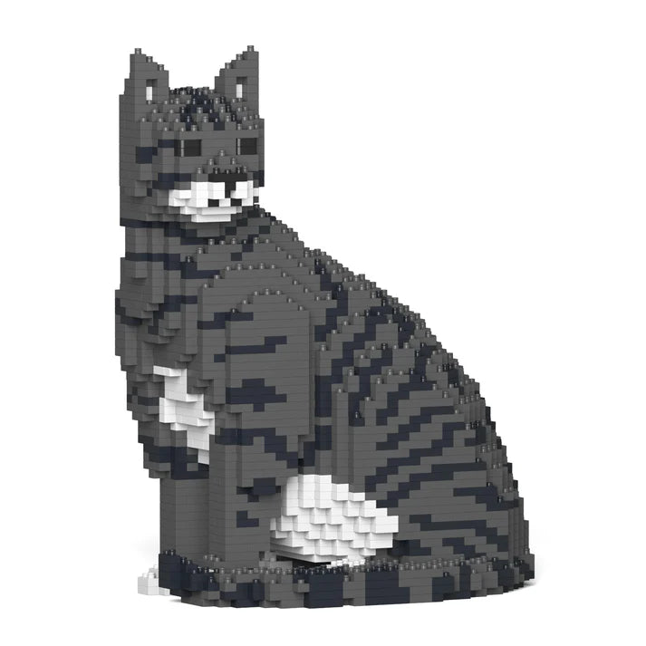 Dark Grey Tabby Cat 02S-M02