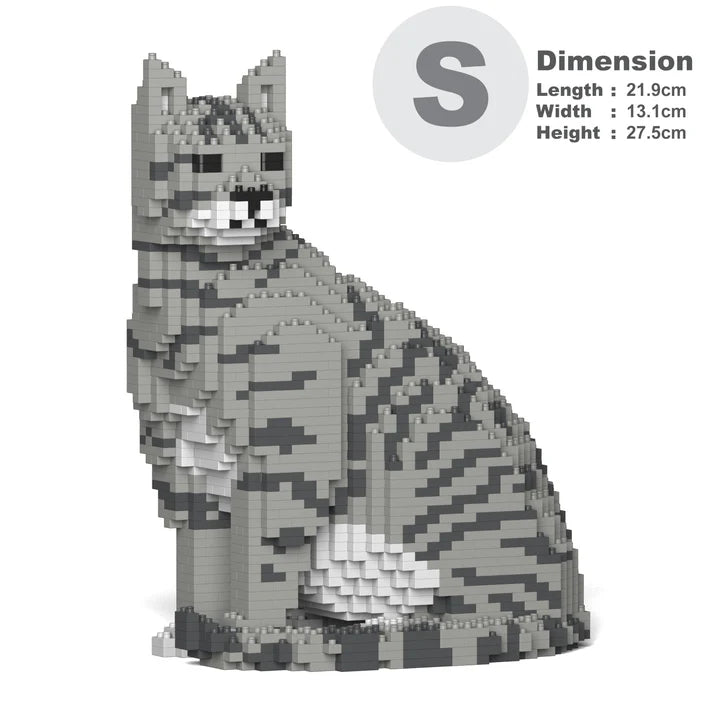 Light Grey Tabby Cat 02S-M03