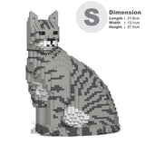 Light Grey Tabby Cat 02S-M03